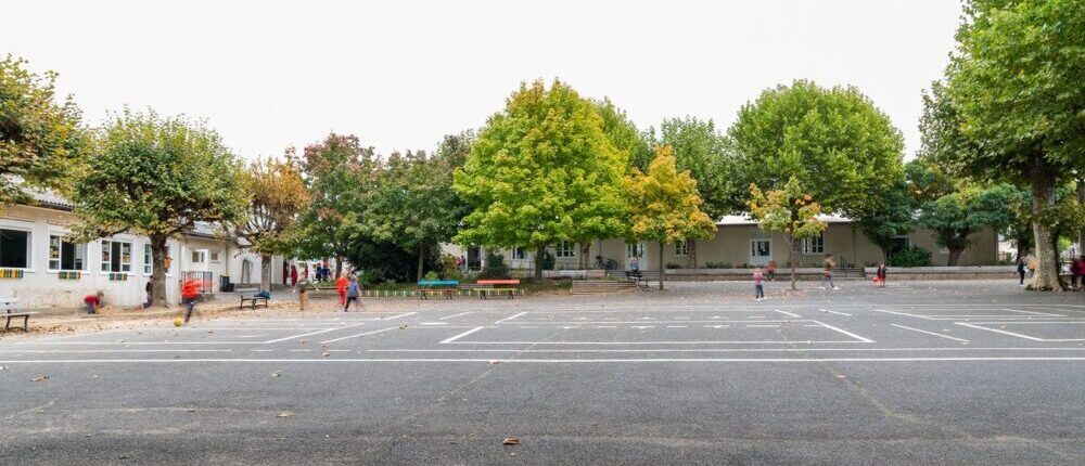 Affiche Scolaire Rossignol Des Années 60 – La Côte Rocher (36) – État D'usage